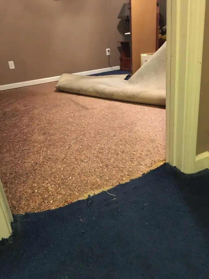 Carpet pad removal revealing water damage during Water Mitigation Services in Antrim