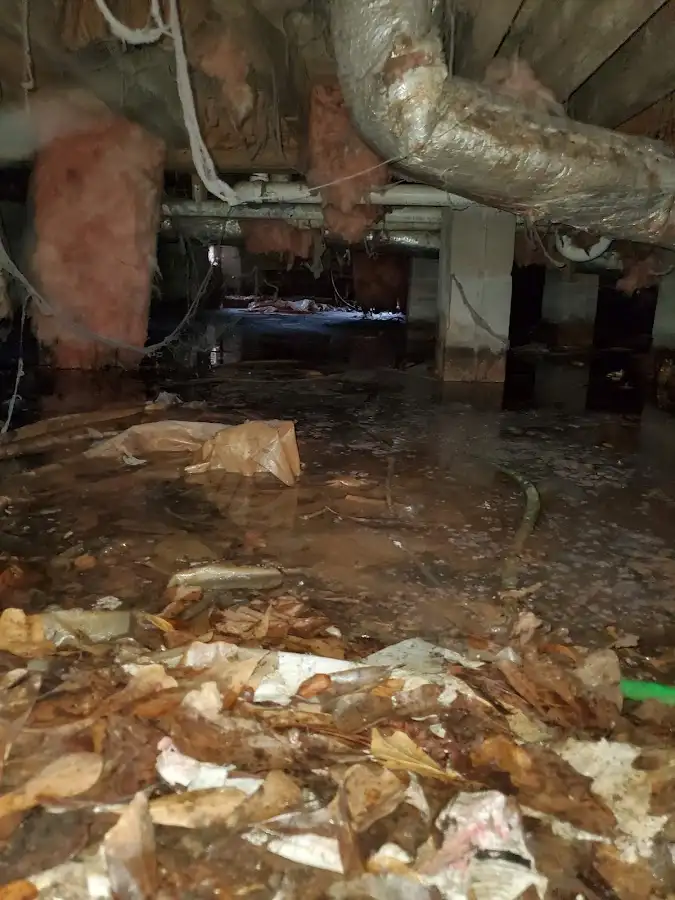 Crawl space flood assessment for Commercial Water Damage Restoration in Antrim