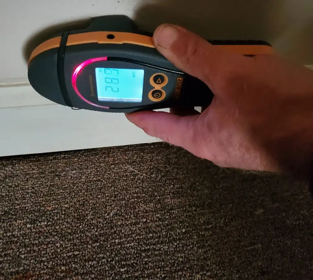 Moisture detection at baseboard during Sewage Cleanup & Sanitation in Antrim